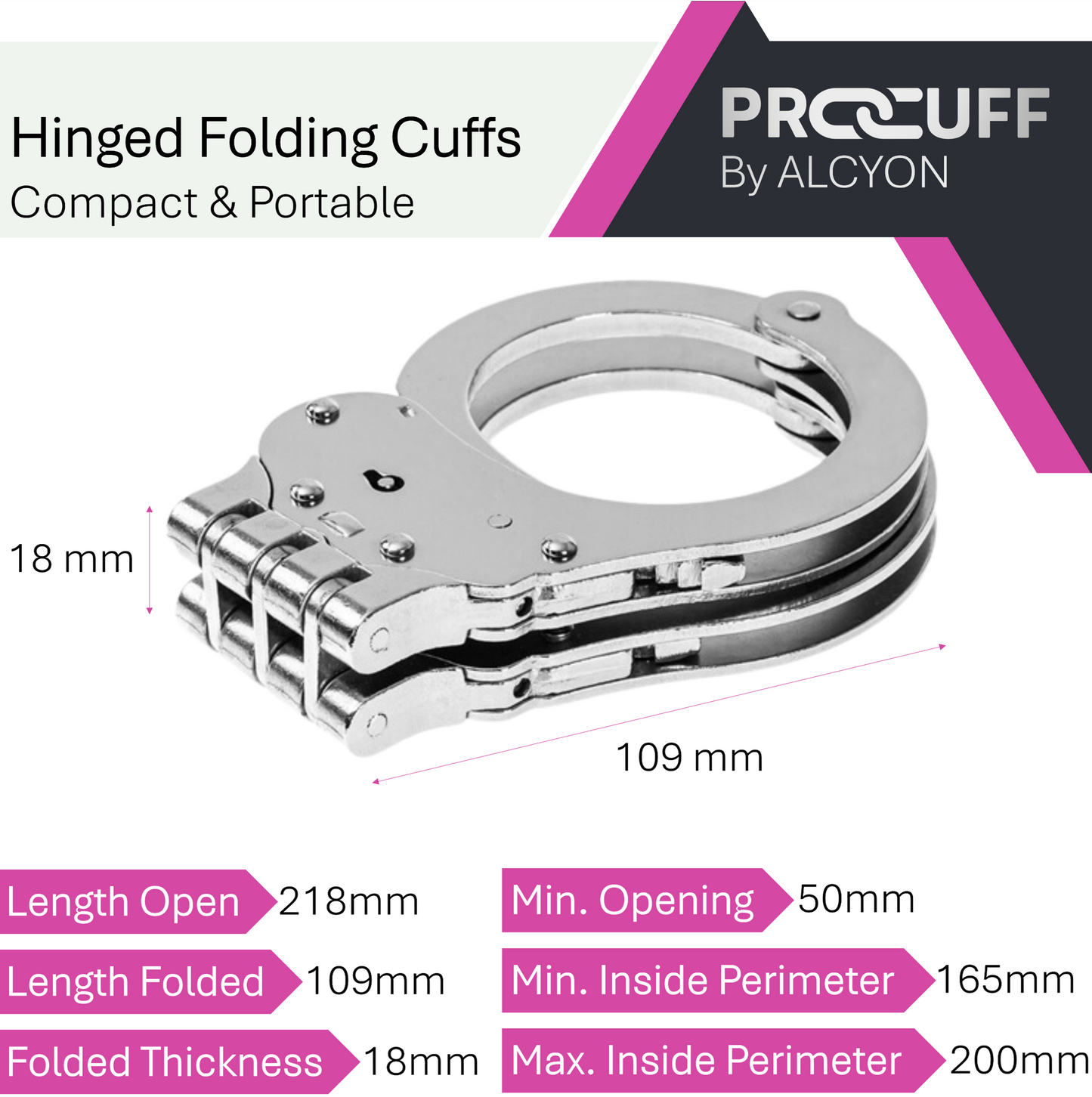 Hinged Model - Silver